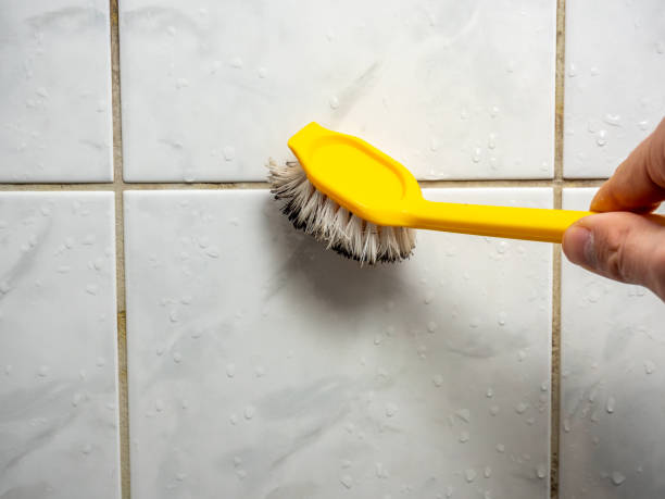 Best Fast Mold Removal  in Belle Isle, FL